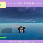 フォートナイト！建築リロード！