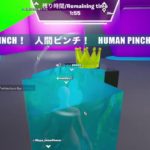 カスタム参加!!!!!!!!フォートナイト小学生3年生【フォートナイト/Fortnite】【ライブ配信】