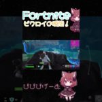 【Fortnite】初心者による配信外のビクロイ！ #フォートナイト