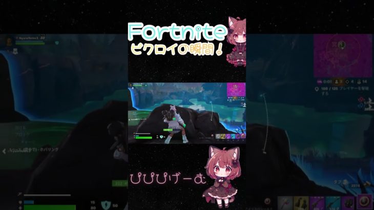 【Fortnite】初心者による配信外のビクロイ！ #フォートナイト