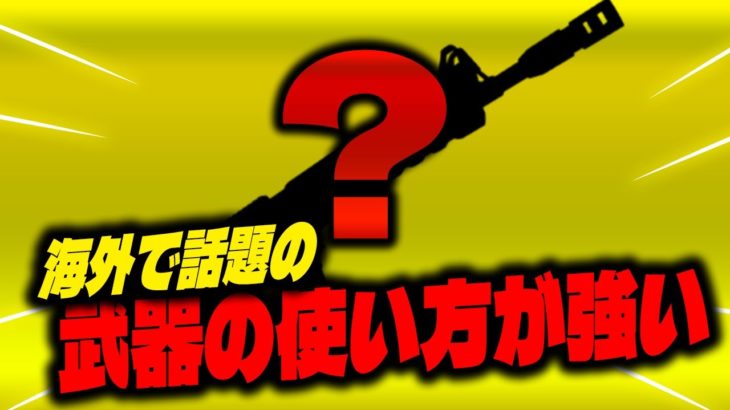 これが溶けるってことか・・・【武器】【フォートナイト/Fortnite】