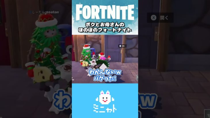 ボクとお母さんのほのぼのフォートナイト【Fortnite】