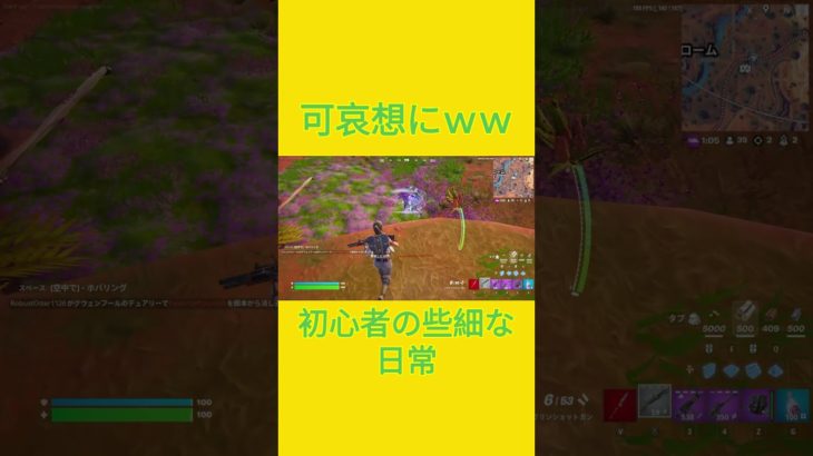 そりゃそうなるｗｗ　[Fortnite]  #フォートナイト #fortnite　#チャプター５シーズン４　#初心者