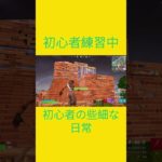 初心者練習中！！　[Fortnite]  #フォートナイト #fortnite　#チャプター５シーズン４　#初心者