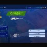 フォートナイト初心者配信　Fortnite_20240929000614