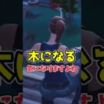 落下には気を付けよう！【フォートナイト/Fortnite】【ゆっくり茶番】#shorts #フォートナイト #fortnite