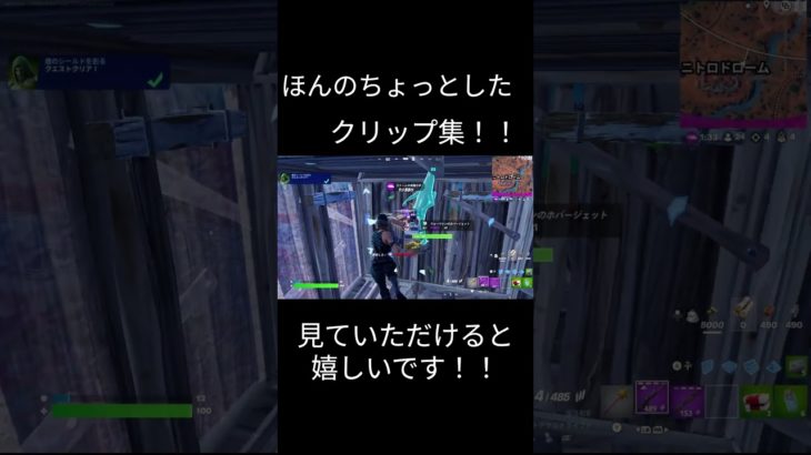 少ない時間で見れるクリップか怪しいクリップ#fortnite #フォートナイト #ゆっくり実況 #ゆっくり初心者