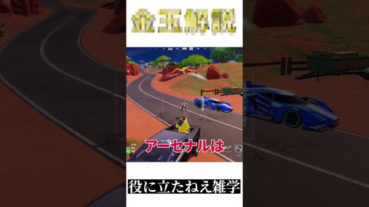 [新作]フォートナイト民が知らないゴミみたいな雑学をゴミそのものの金〇が一分で解説[金〇解説]