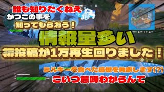 【フォートナイト】初心者がバトロワしながら雑談した結果……