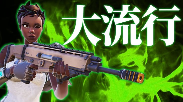 プロで大流行中の『フルカスタムストライカーAR』が強過ぎるｗｗ【フォートナイト/Fortnite】