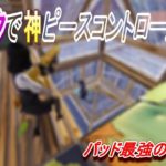 ランクでイキろうと思い建築しまくった結果【フォートナイト/FORTNITE】