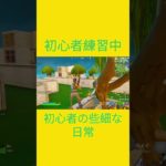 初心者練習中！！　[Fortnite]  #フォートナイト #fortnite　#チャプター５シーズン４　#初心者