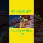 初心者練習中！！　[Fortnite]  #フォートナイト #fortnite　#チャプター５シーズン４　#初心者