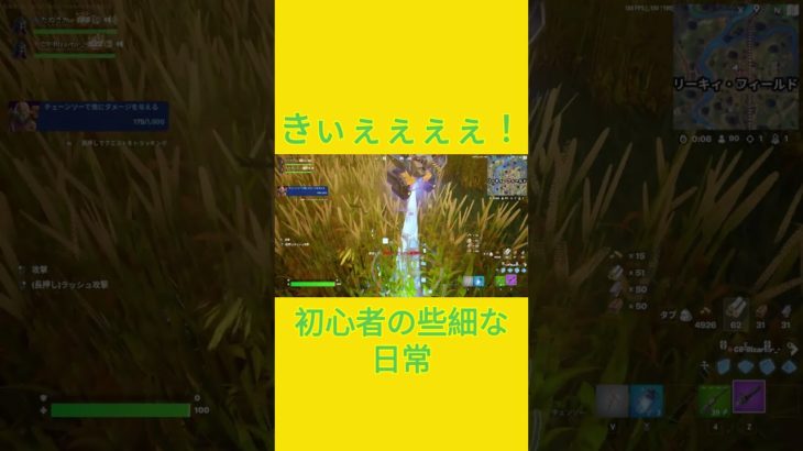 きぃぇぇぇぇ！　[Fortnite]  #フォートナイト #fortnite　#チャプター５シーズン４　#初心者