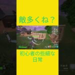 戦う場所を間違えた…　[Fortnite]  #フォートナイト #fortnite　#チャプター５シーズン４　#初心者