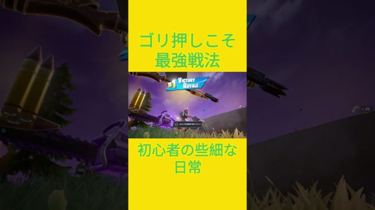 久々のゴリ押し　[Fortnite]  #フォートナイト #fortnite　#チャプター５シーズン４　#初心者