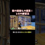 初心者でも簡単！張替えの極意！【フォートナイト/Fortnite】 #大人の趣味 #ゲーム #フォートナイト #fortnite #shorts #ゲーム実況