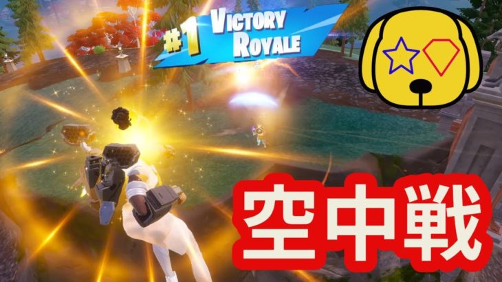 【フォートナイト/Fortnite】上空を制すれば初心者でもビクロイ余裕説 #fortnite #zerobuild #victoryroyale