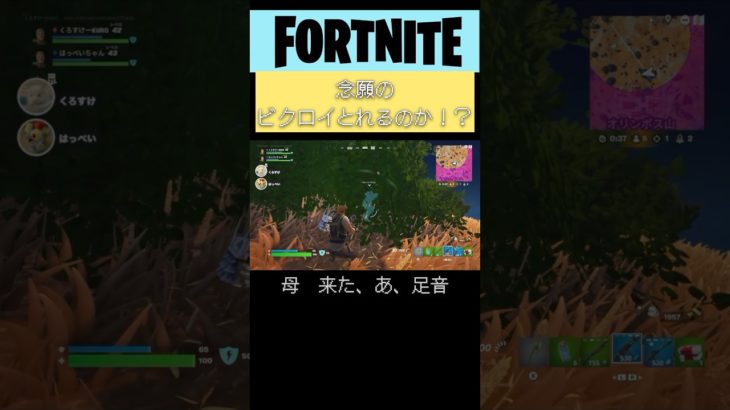 初心者でも奇跡のビクロイを取りたい。#フォートナイト#Fortnite#ゲーム#任天堂#switch#shorts