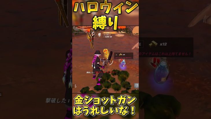 ハロウィン武器縛りでビクロイせよ！【フォートナイト】 #ゆっくり実況 #fortnite