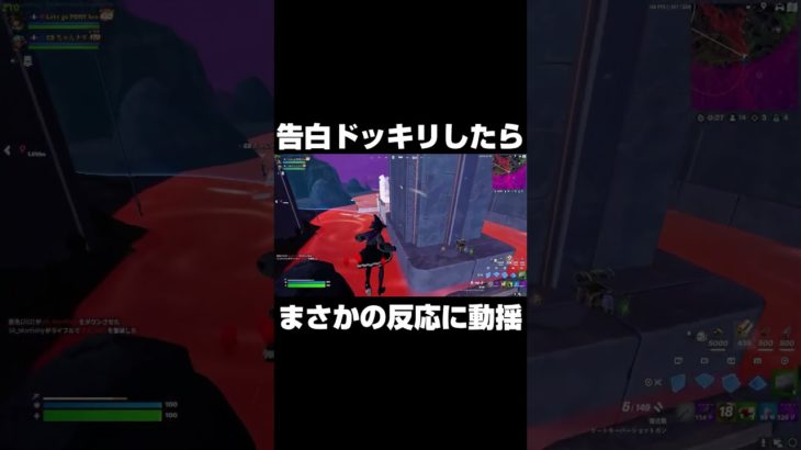 告白ドッキリしたらまさかの反応に動揺 #shorts 【フォートナイト/Fortnite】