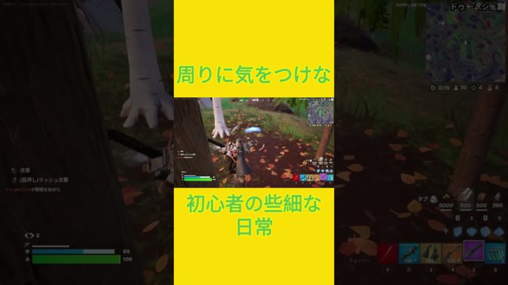 tueeeeeee　[Fortnite]  #フォートナイト #fortnite　#チャプター５シーズン４　#初心者