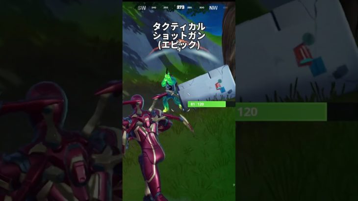 藁の中は被弾しない フォートナイト チャプター2 ゼロビルド #shorts #フォートナイト #fortnite #フォートナイト初心者 #フォートナイトキル集 #チャプター2remix