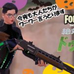 2024-11-01🔴雑談FORTNITE生配信【シュージェイのフォートナイト初級者ワーワー言うとりますチャンネル】