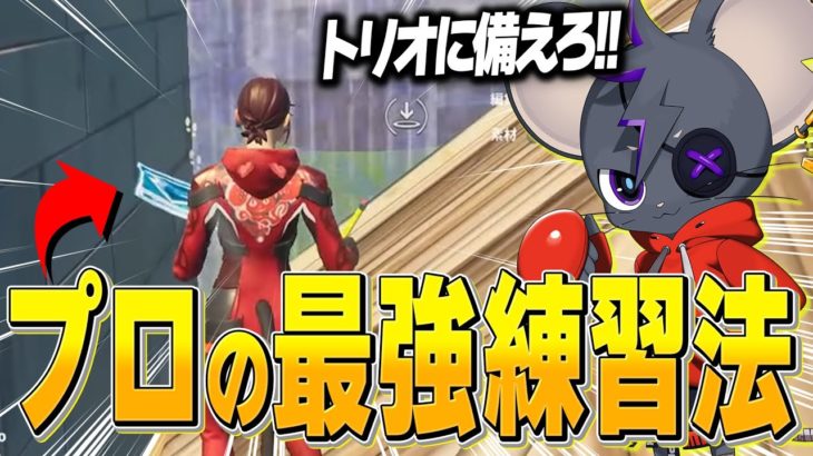 【3vs3】最強プロ達が切磋琢磨する練習法！【フォートナイト/Fortnite】