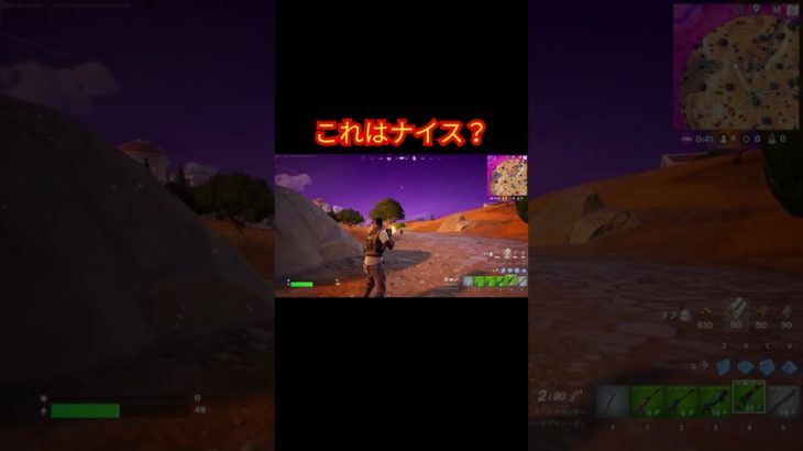 これはナイス？【フォートナイト/Fortnite】