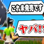 誰も持ってない”未発売スキン”を野良に自慢してみたｗｗ【フォートナイト/Fortnite】