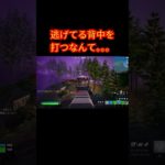 逃げてる背中を打つなんて。。。【フォートナイト/Fortnite】