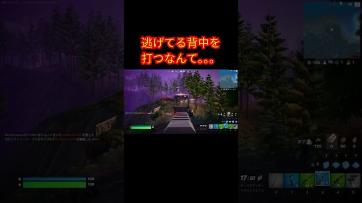 逃げてる背中を打つなんて。。。【フォートナイト/Fortnite】