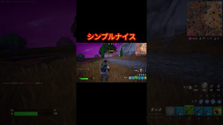 シンプルナイス【フォートナイト/Fortnite】