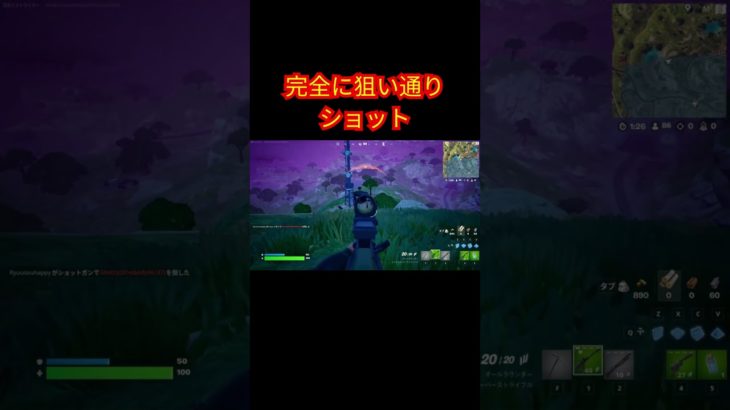 完全に狙い通りショット【フォートナイト/Fortnite】