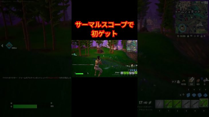 サーマルスコープで初ゲット【フォートナイト/Fortnite】