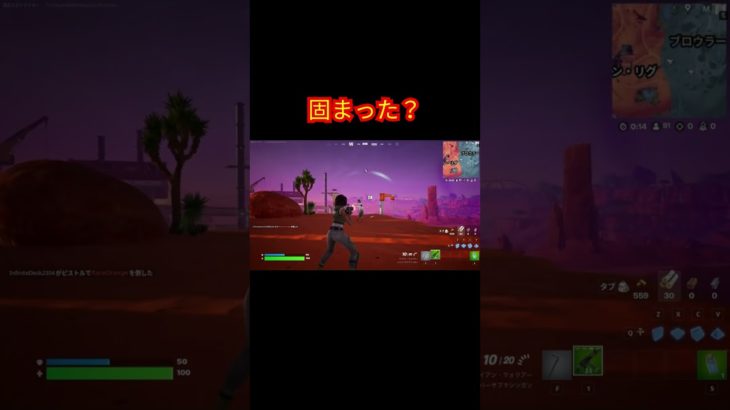 固まった？【フォートナイト/Fortnite】