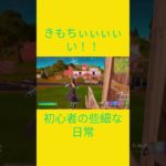 快感　[Fortnite]  #フォートナイト #fortnite　#チャプター2リミックス　#初心者