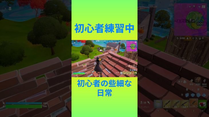 初心者練習中！！　[Fortnite]  #フォートナイト #fortnite　#チャプター2リミックス　#初心者