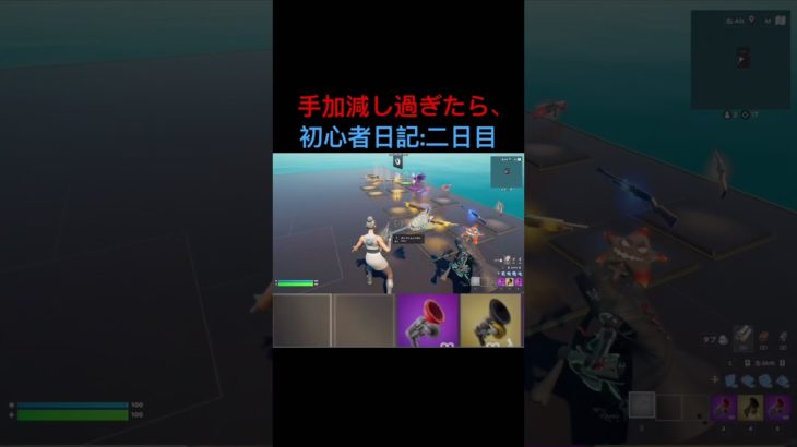 【Fortnite】初心者日記#2 手加減し過ぎたら、#shorts #Fortnite#フォートナイト #フォトナ #登録よろしく #game #games #初心者 #雑魚#アホ#日記#ふぉとな