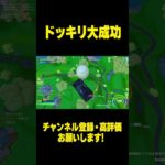 救援物資に乗ってドッキリサプライズしてみた！＃フォートナイト＃Fortnite＃shorts