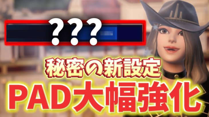 【PAD強化】秘密の新設定が追加！？エイムアシスト強化についても実践解説！【フォートナイト/Fortnite】