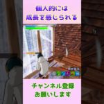 建築バトル苦手だけど…成長を感じた #フォートナイト #fortnite #shorts