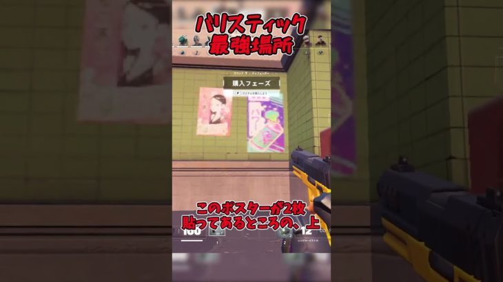 99パーの人が知らない最強スポット！【フォートナイト/fortnite/ふぉとな/ゆっくり実況】