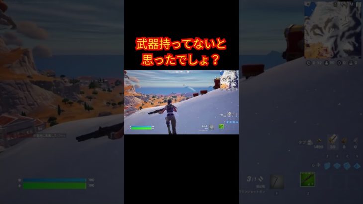 武器持ってないと思ったでしょ？【フォートナイト/Fortnite】