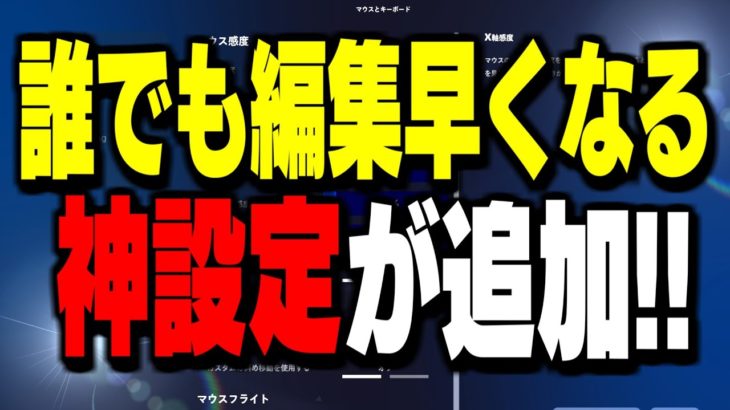 【絶対に見とけ】新設定”シンプル編集”は絶対に〇〇にすべき設定です!【フォートナイト/Fortnite】