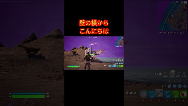 壁の横からこんにちは【フォートナイト/Fortnite】