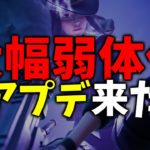 サイレントアプデで大幅に武器が弱体化＆強化されました！！！【フォートナイト/Fortnite】