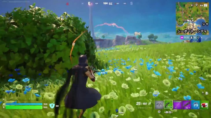 PS5 エイム初心者が頑張ってやる [フォートナイト/Fortnite]