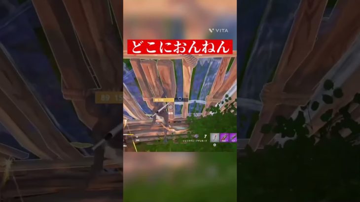 は、？？？？？ #fortnite #フォートナイト #フォトナ